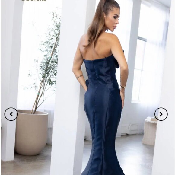 Terani Evening Dress Mother of the Bride - Picture 3 of 12